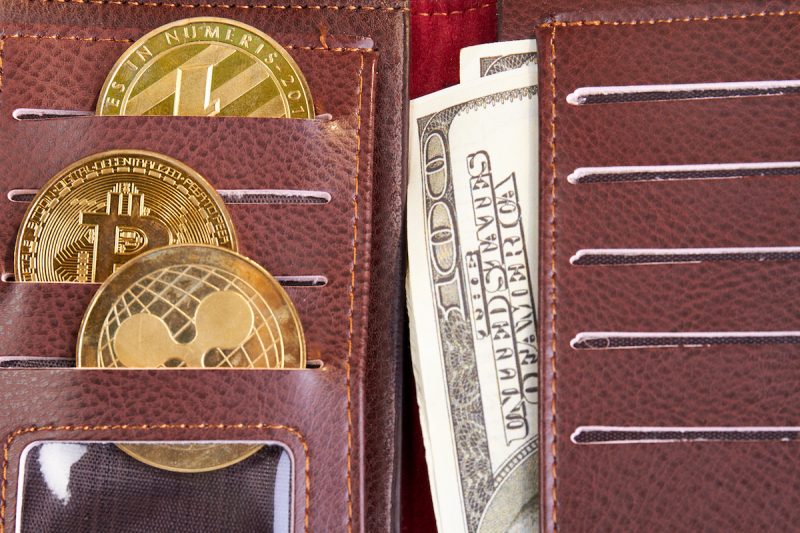 close-up-wallet-with-cryptocurrency-coins-and-doll-2022-01-29-21-45-23-utc.jpg